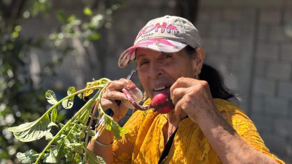 Gobierno de Sonora impulsa huerto comunitario en CEDAM Cajeme
